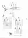 Fig. 10 - Visualization apparatus and system for enhanced hand-eye coordination
