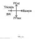 Fig. 07 - Device and method for treating abnormal muscle function