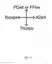 Fig. 09 - Device and method for treating abnormal muscle function