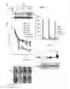 Fig. 04 - P53 COOPERATION WITH DNA METHYLATION AND SUICIDAL INTERFERON RESPONSE TO CONTROL SILENCING OF REPEATS AND NCRNAS