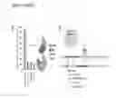 Fig. 06 - P53 COOPERATION WITH DNA METHYLATION AND SUICIDAL INTERFERON RESPONSE TO CONTROL SILENCING OF REPEATS AND NCRNAS