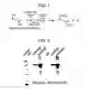 Fig. 02 - Method for producing reagent for antibody detection and use thereof