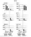 Fig. 06 - Method for producing reagent for antibody detection and use thereof