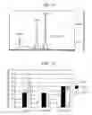 Fig. 09 - Method for producing reagent for antibody detection and use thereof