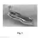 Fig. 02 - WEIGHT STEERABLE SELF-PROPELLED PERSONAL WATERCRAFT