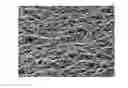 Fig. 01 - Carbon nanotube sponge and method for making the same
