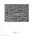 Fig. 06 - Carbon nanotube sponge and method for making the same