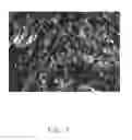 Fig. 08 - Carbon nanotube sponge and method for making the same