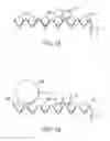 Fig. 02 - Methods of bead manipulation and forming bead arrays