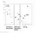 Fig. 03 - Biomarkers for Bladder Cancer and Methods Using the Same