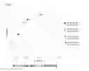 Fig. 06 - Biomarkers for Bladder Cancer and Methods Using the Same