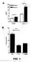 Fig. 02 - Device and method for detection of analytes