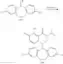 Fig. 366 - Substituted polycyclic carbamoylpyridone derivative
