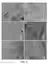 Fig. 09 - Antimicrobial polymer-graphene-silver nanocomposite