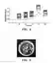 Fig. 07 - Laser-actuated therapeutic nanoparticles