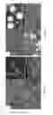 Fig. 09 - SURFACES HAVING NANOPARTICULATE LAYERS AND ASSEMBLY AND USE THEREOF
