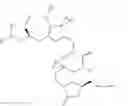 Fig. 09 - Synthetic process for preparation of macrocyclic C1-keto analogs of halichondrin B and intermediates useful therein