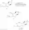 Fig. 24 - Synthetic process for preparation of macrocyclic C1-keto analogs of halichondrin B and intermediates useful therein