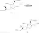 Fig. 30 - Synthetic process for preparation of macrocyclic C1-keto analogs of halichondrin B and intermediates useful therein