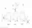 Fig. 06 - Multi Orientation Cryostats