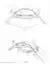 Fig. 06 - Iris retractor