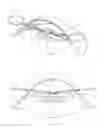 Fig. 08 - Iris retractor