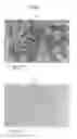 Fig. 05 - Absorbent article