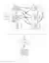 Fig. 02 - Coordination of control commands in a medical device system based on synchronization status between devices