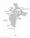 Fig. 02 - Method and apparatus for performing minimally invasive arthroscopic procedures