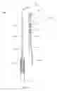 Fig. 06 - NASAL DILATOR AND BOUGIE