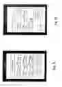Fig. 16 - PRINT TO DISPLAY ON MOBILE DEVICE