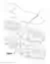 Fig. 07 - Article of footwear with outsole web and midsole protrusions