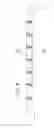 Fig. 08 - System and methods for removing contaminants from gas effluents