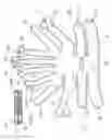 Fig. 02 - Apparatus for Immobilizing and Positioning a Patient's Hand