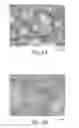 Fig. 07 - Composite particles comprising a conductive coating of PEDOT/PSS, methods of making, and articles including the same