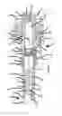 Fig. 05 - Coupler