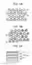 Fig. 06 - Pattern forming method, method of manufacturing magnetic recording medium and magnetic recording medium