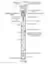Fig. 22 - Beverage dispensing
