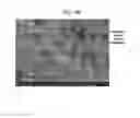 Fig. 09 - Hexagonal boron nitride nanosheet/ceramic nanocomposite powder and producing method of the same, and hexagonal boron nitride nanosheet/ceramic nanocomposite materials and producing method of the same