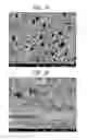 Fig. 08 - III nitride semiconductor device and method of producing the same