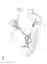 Fig. 09 - Tilt steering apparatus