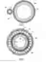 Fig. 02 - Magnetic gear with first and second members arranged to interact in a magnetically geared manner