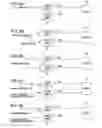 Fig. 09 - Information processing device, information processing method, and program