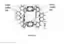 Fig. 02 - Porous materials containing built-in single molecule traps for small molecule capture