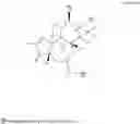 Fig. 02 - Compositions And Methods Of Use Of Phorbol Esters For the Treatment Of Stroke