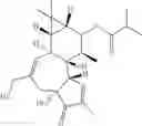 Fig. 44 - Compositions And Methods Of Use Of Phorbol Esters For the Treatment Of Stroke
