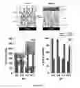 Fig. 08 - Antimicrobial polymer layers