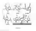 Fig. 12 - Antimicrobial polymer layers
