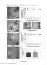 Fig. 05 - Microgels for encapsulation of cells and other biologic agents