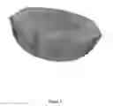 Fig. 03 - FORMULATIONS